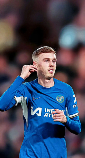 帕特&middot;内文谈帕尔默：位置安排与转会前景剖析